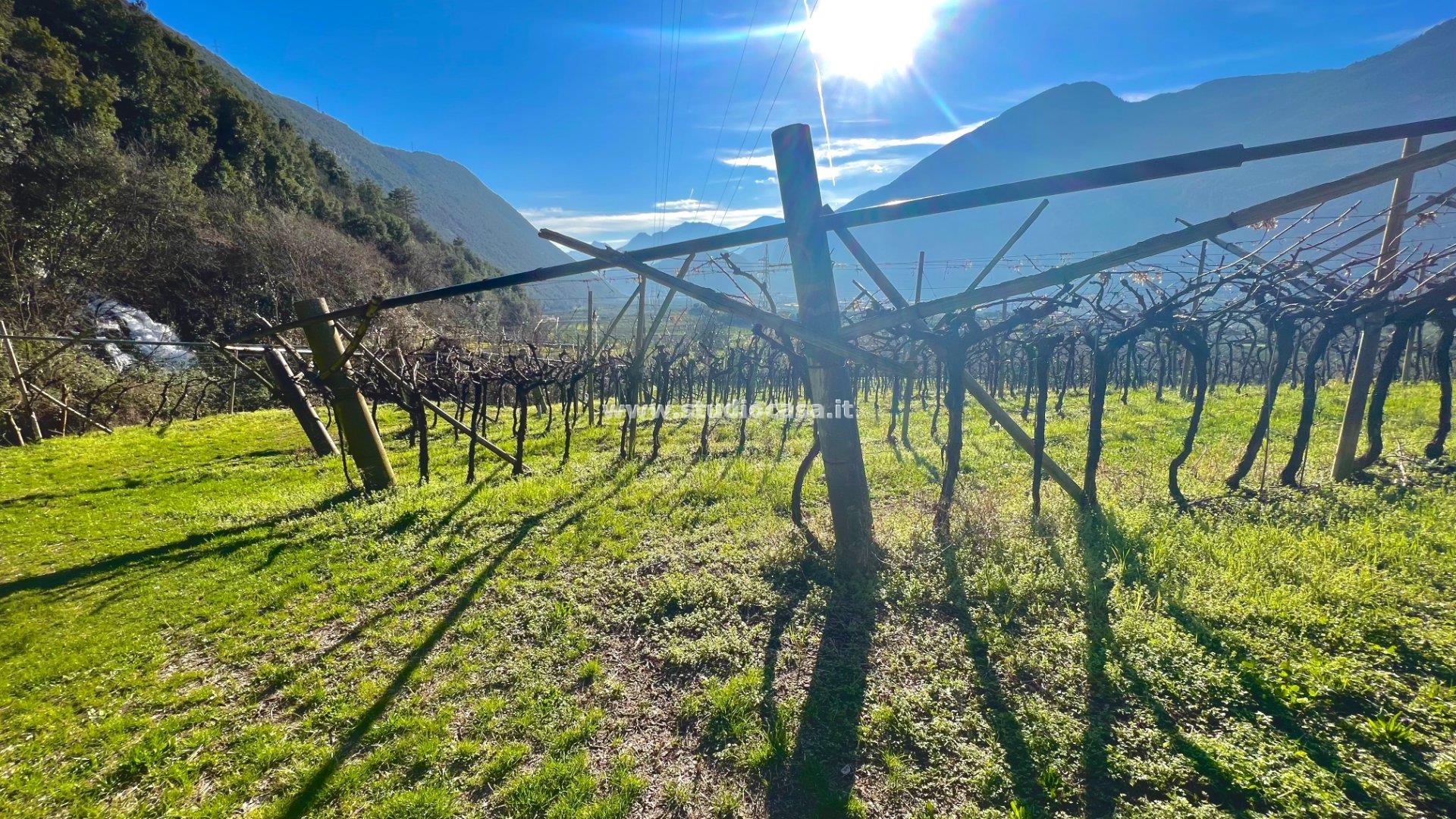 Terreno Agricolo in vendita a Dro