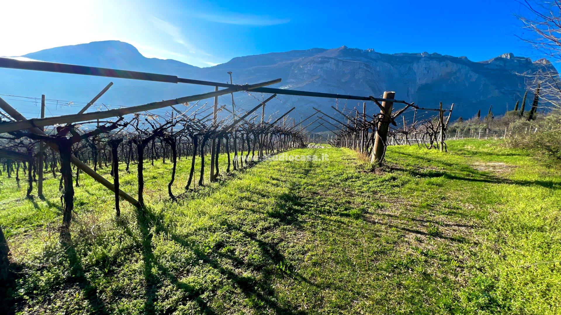 Terreno Agricolo in vendita a Dro
