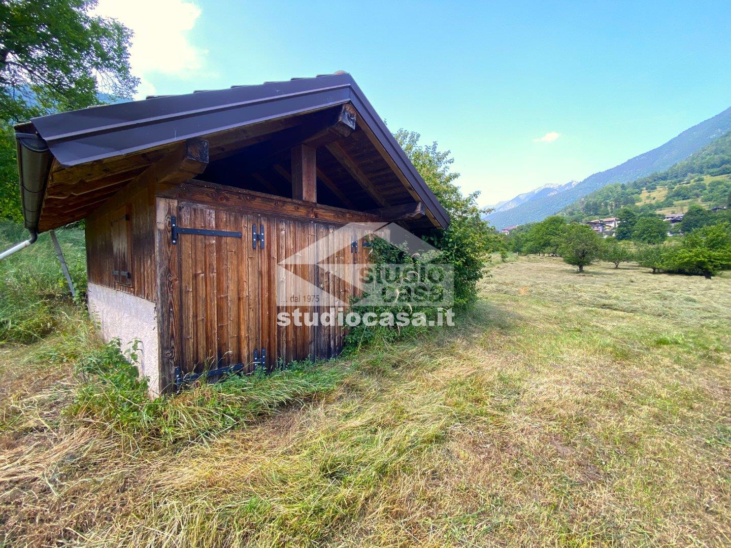 Terreno Agricolo in vendita a Ledro