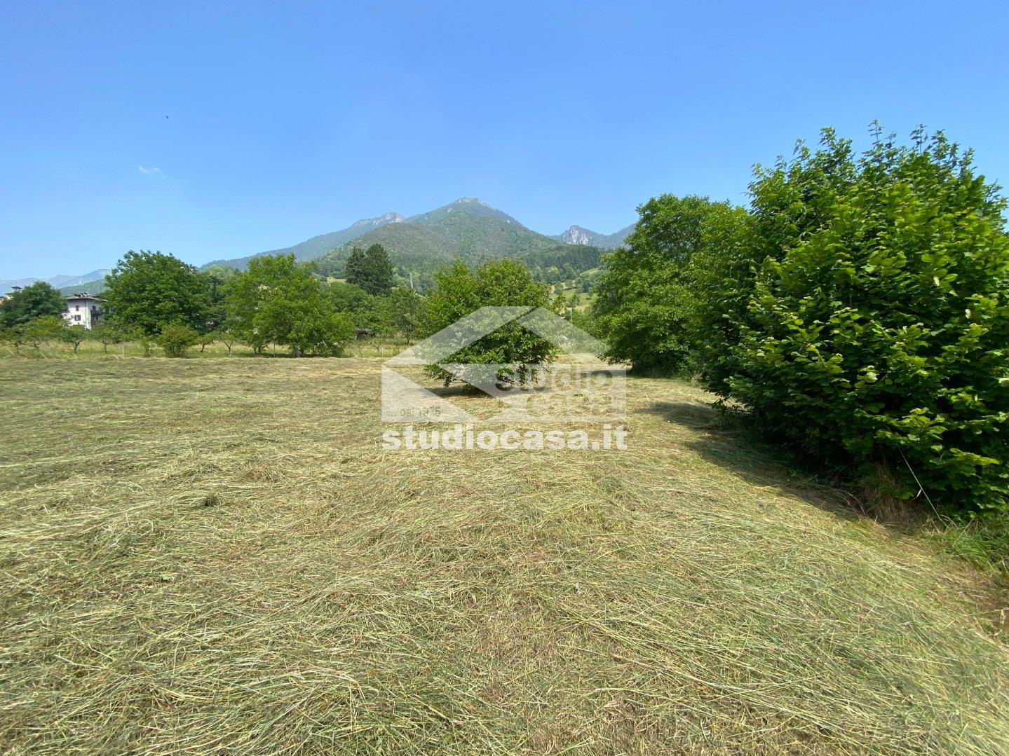 Terreno Agricolo in vendita a Ledro