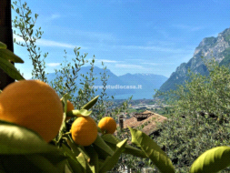 Terreno Agricolo in vendita a Riva del Garda