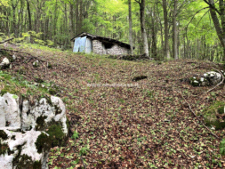 Baita in vendita a Nago-Torbole