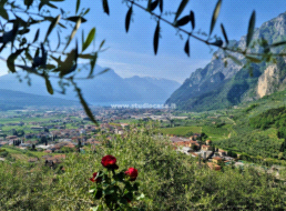 Terreno Agricolo in vendita a Tenno