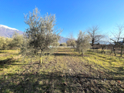 Terreno Agricolo in vendita a Arco