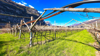 Terreno Agricolo in vendita a Dro