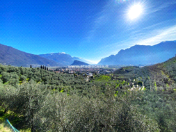 Terreno Agricolo in vendita a Arco