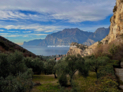 Terreno Agricolo in vendita a Nago-Torbole