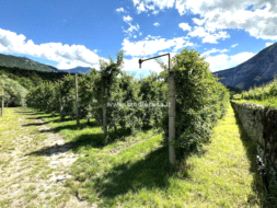 Terreno Agricolo in vendita a Dro