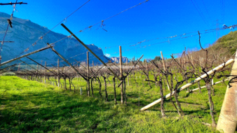 Terreno Agricolo in vendita a Dro