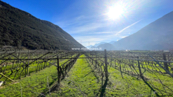 Terreno Agricolo in vendita a Dro
