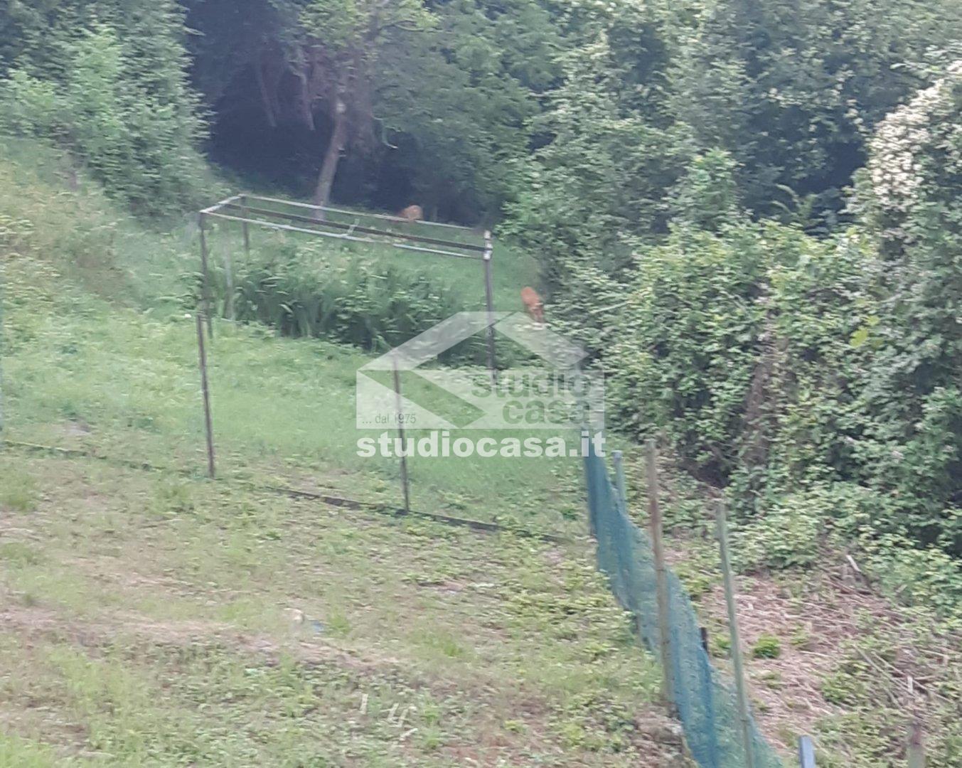 Appartamento in vendita a Bracca