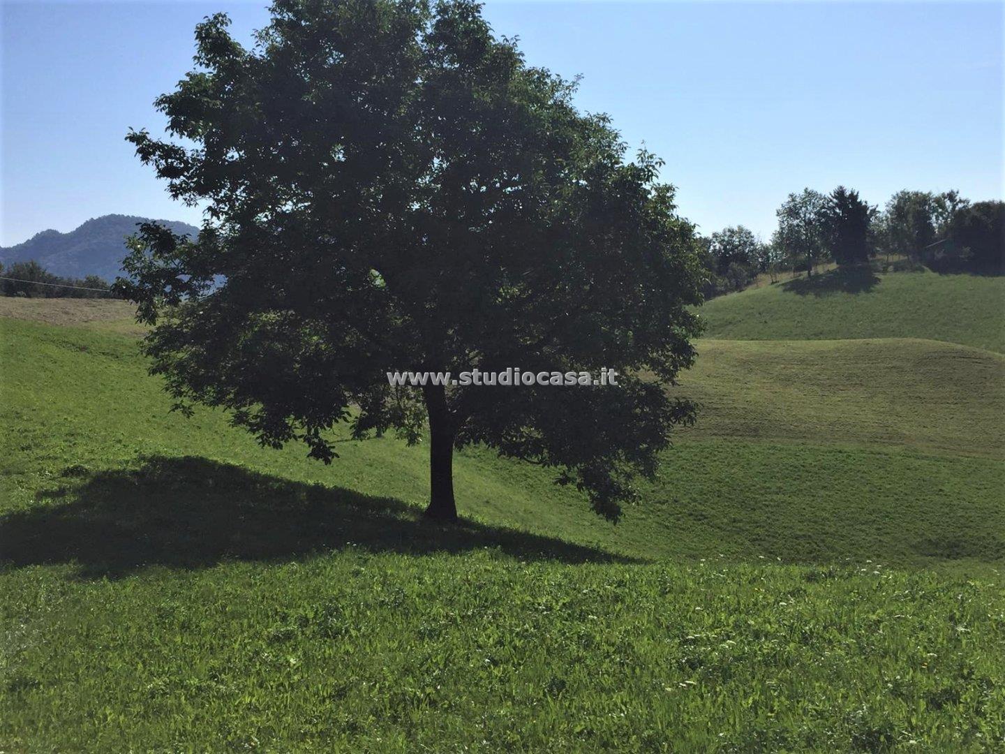 Casa Rustica in vendita a Zogno