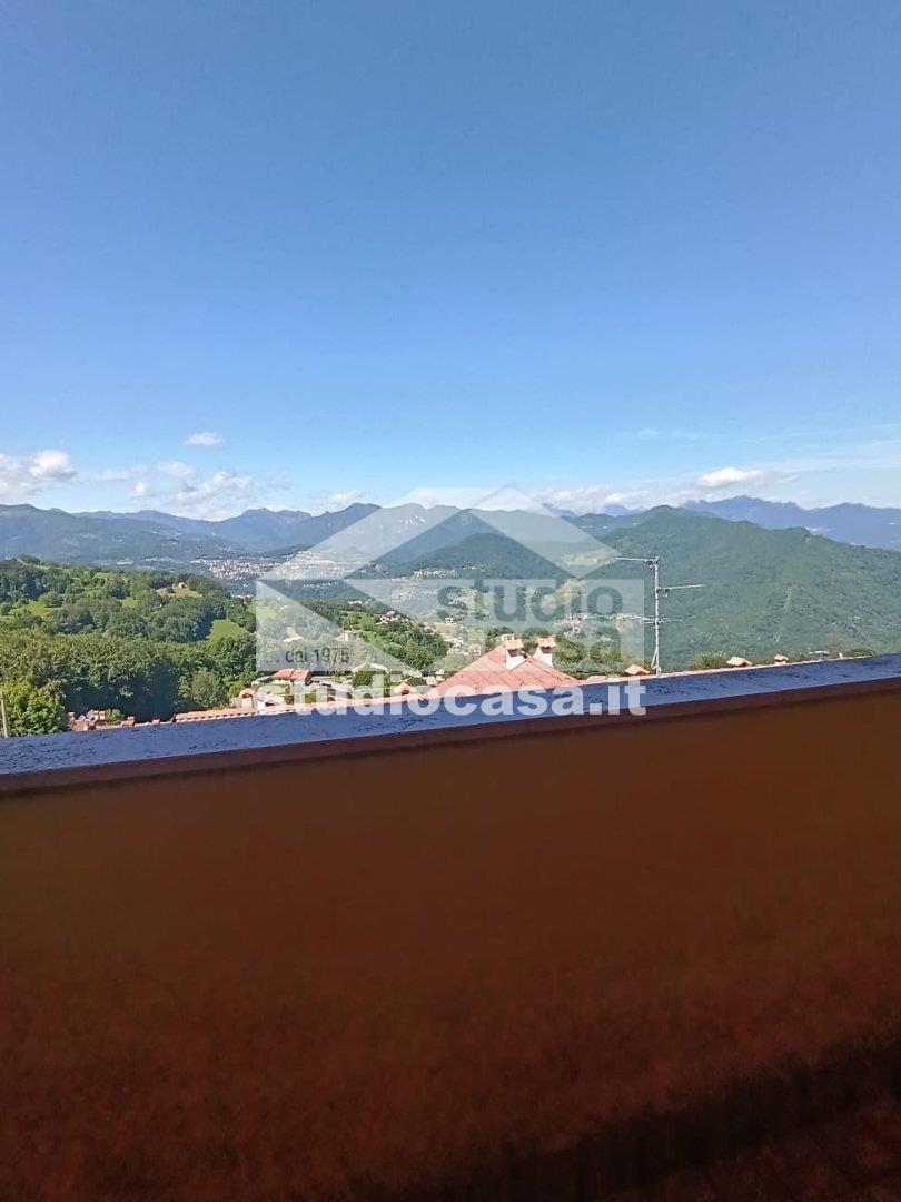 Appartamento in affitto a Roncola
