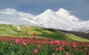 Appartamento in vendita a Val Brembilla