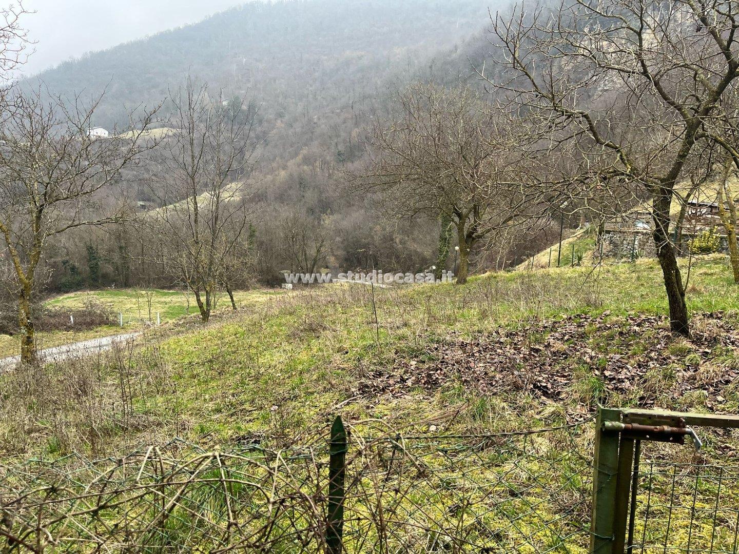 Terratetto in vendita a Zogno