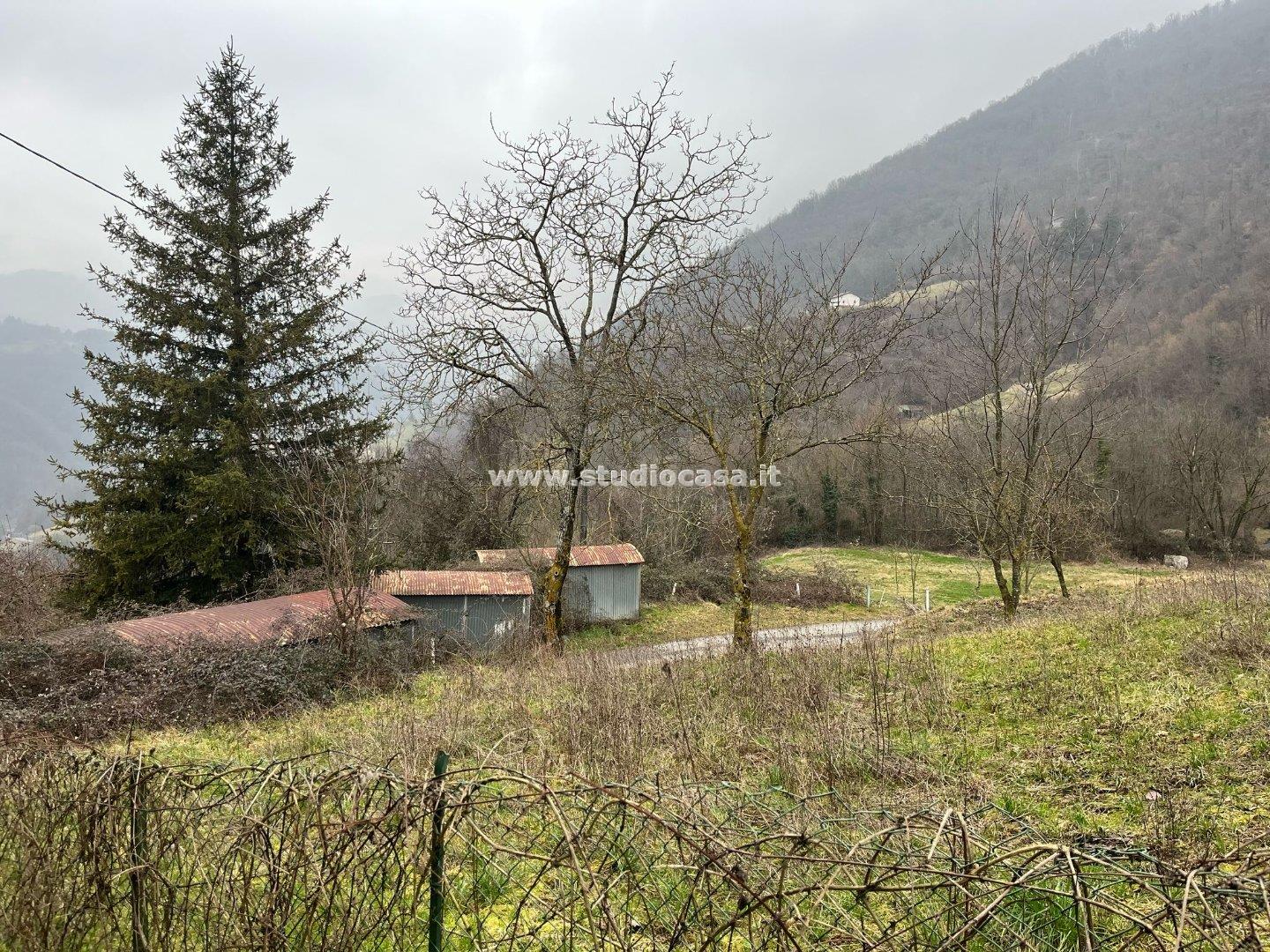 Terratetto in vendita a Zogno
