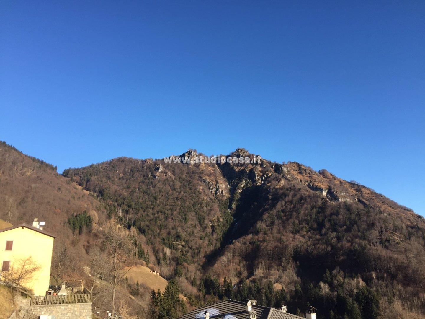 Terratetto in vendita a Valtorta