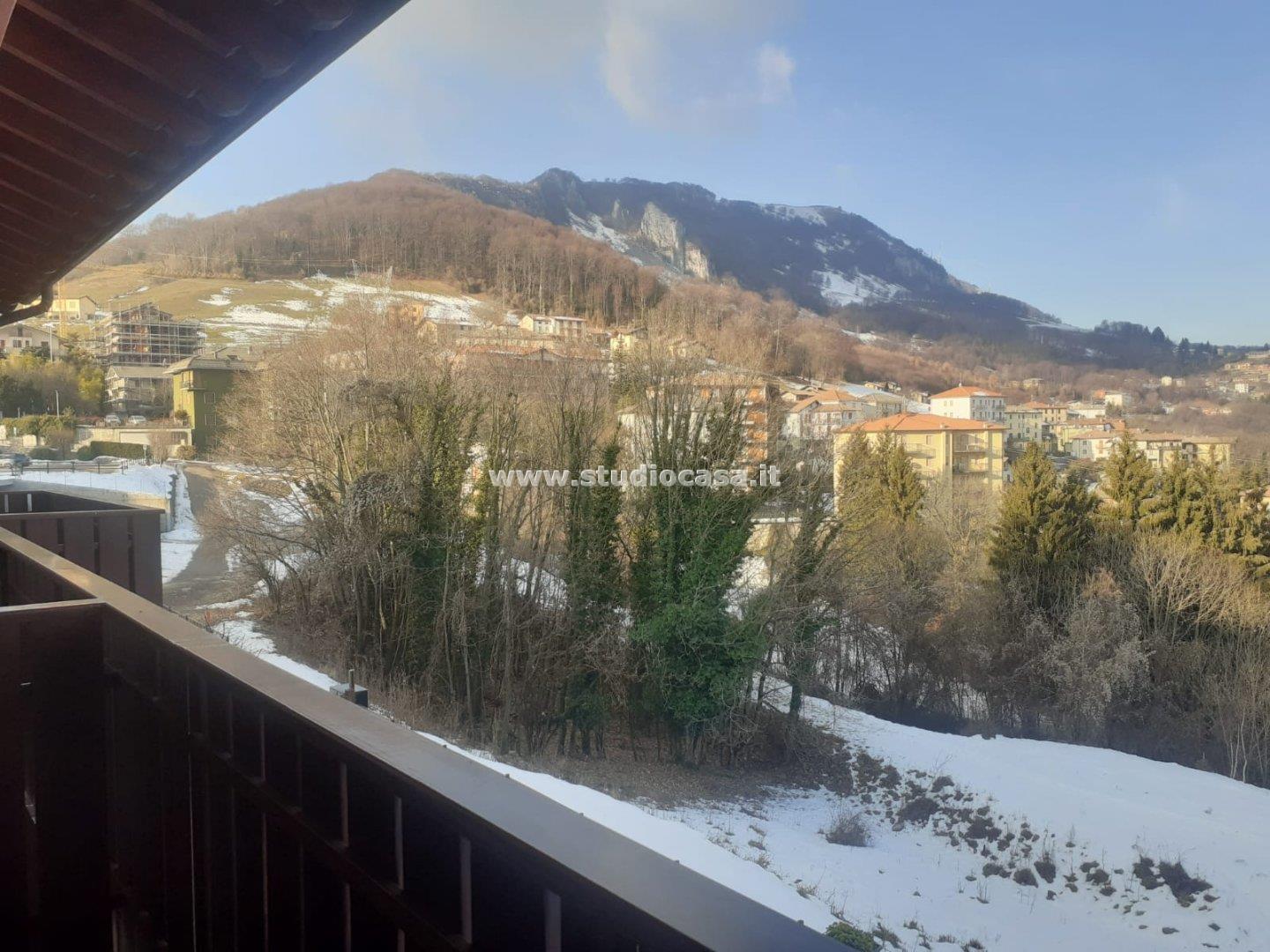 Appartamento in vendita a Roncola
