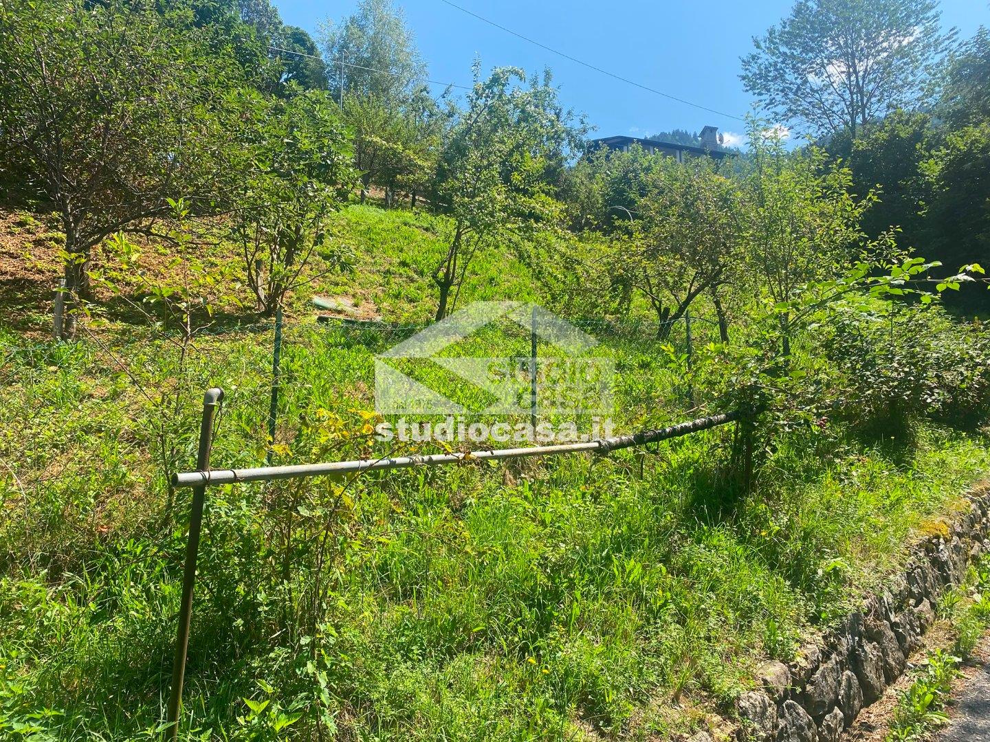 Terreno Agricolo in vendita a Piazzolo