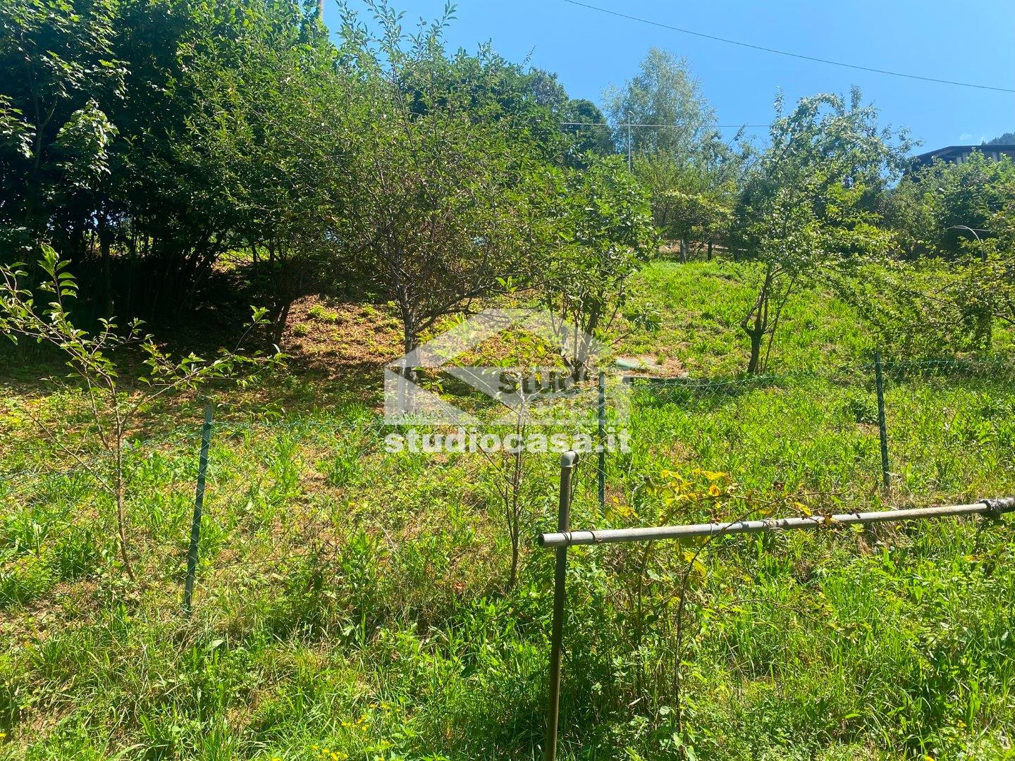 Terreno Agricolo in vendita a Piazzolo