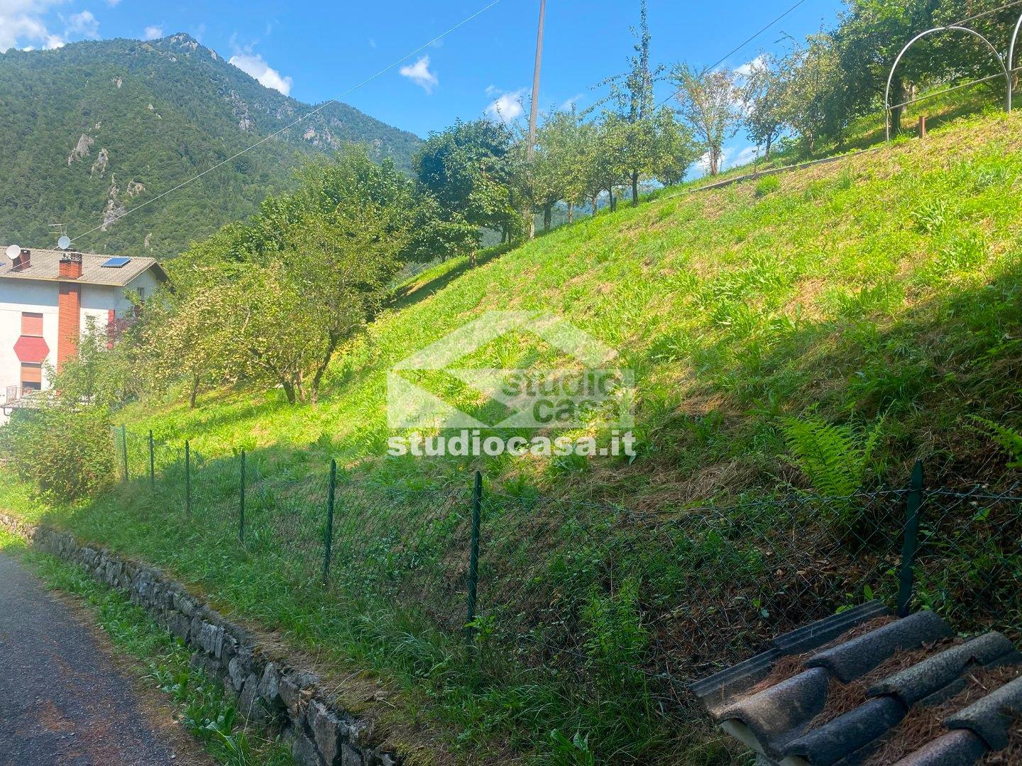 Terreno Agricolo in vendita a Piazzolo