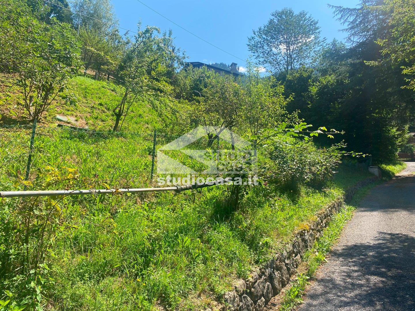 Terreno Agricolo in vendita a Piazzolo