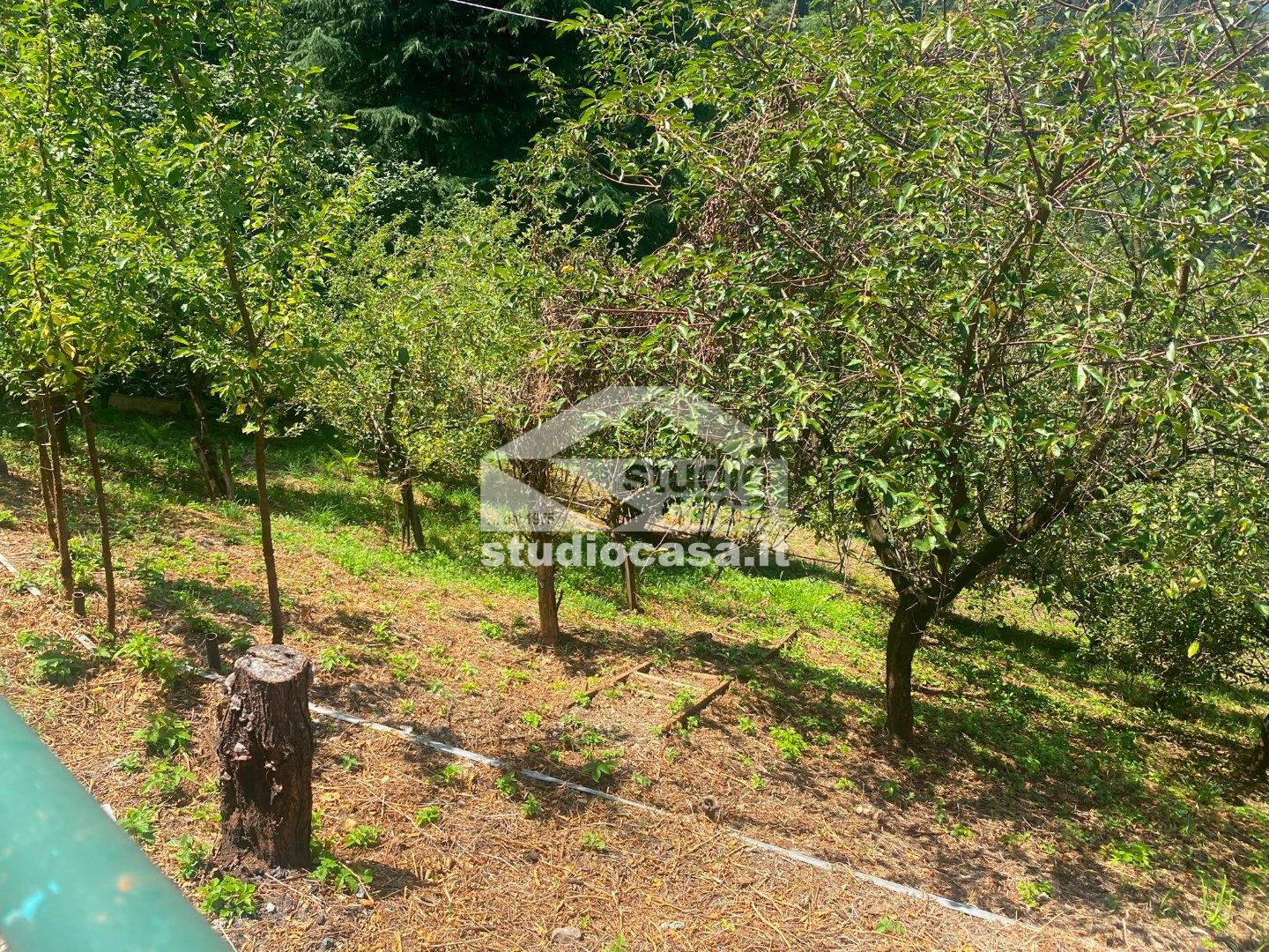 Terreno Agricolo in vendita a Piazzolo