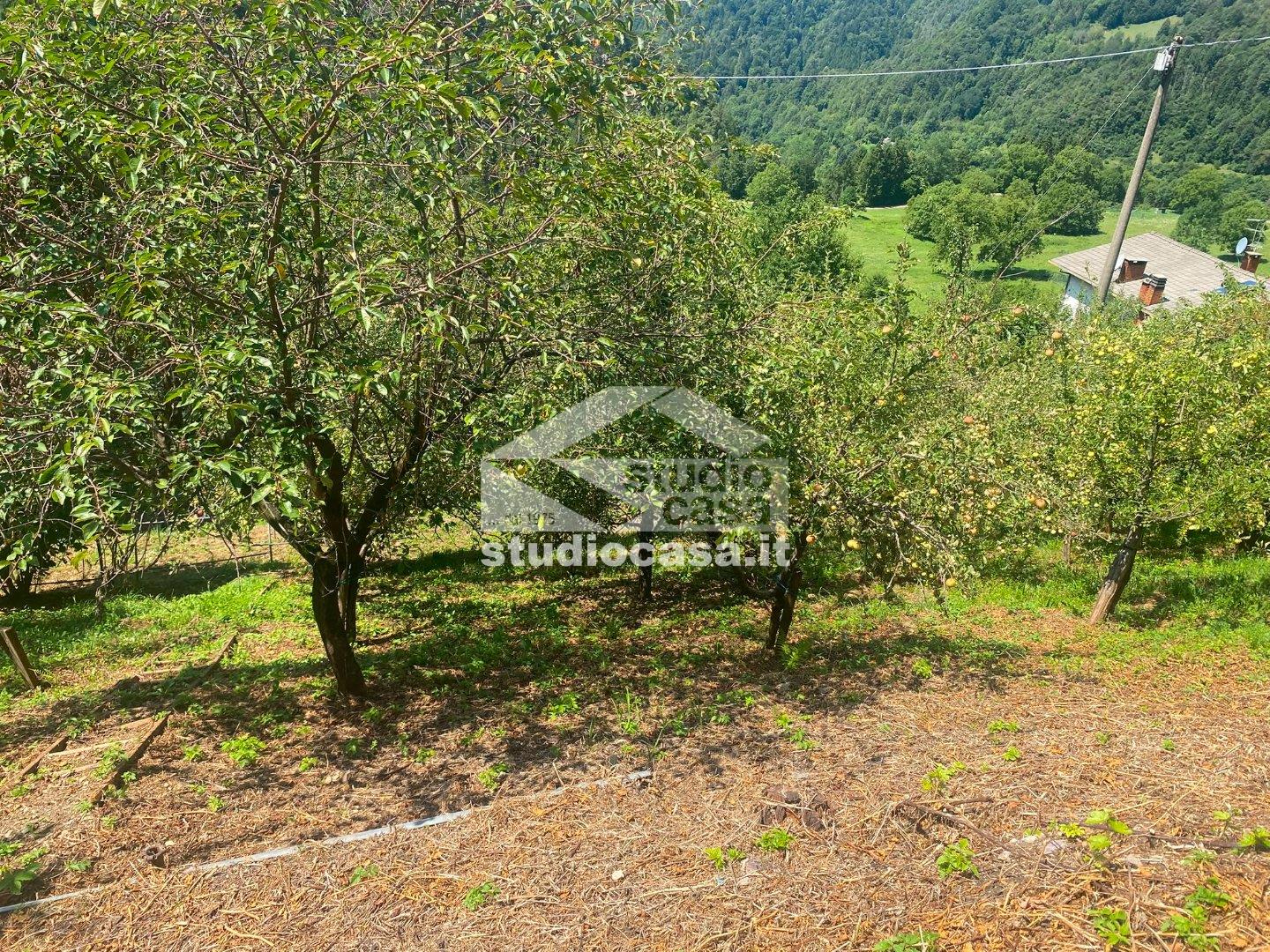 Terreno Agricolo in vendita a Piazzolo