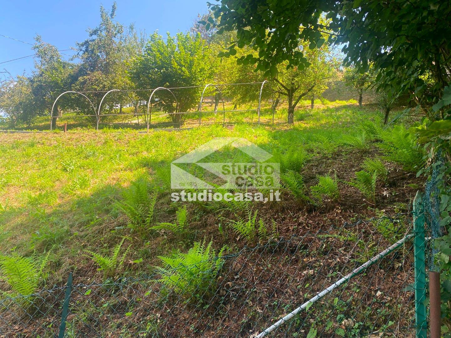 Terreno Agricolo in vendita a Piazzolo