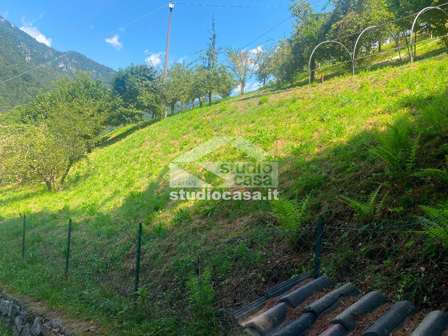 Terreno Agricolo in vendita a Piazzolo
