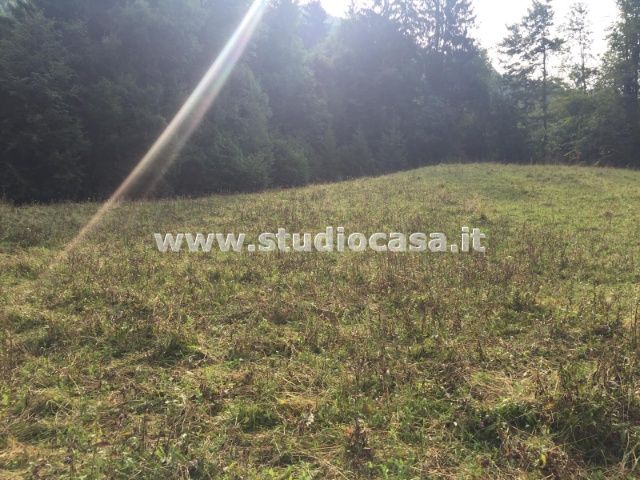 Casa Rustica in vendita a Dossena