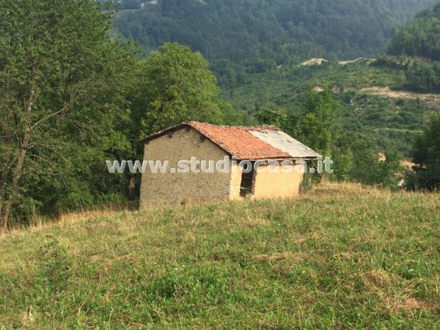 Casa Rustica in vendita a Dossena
