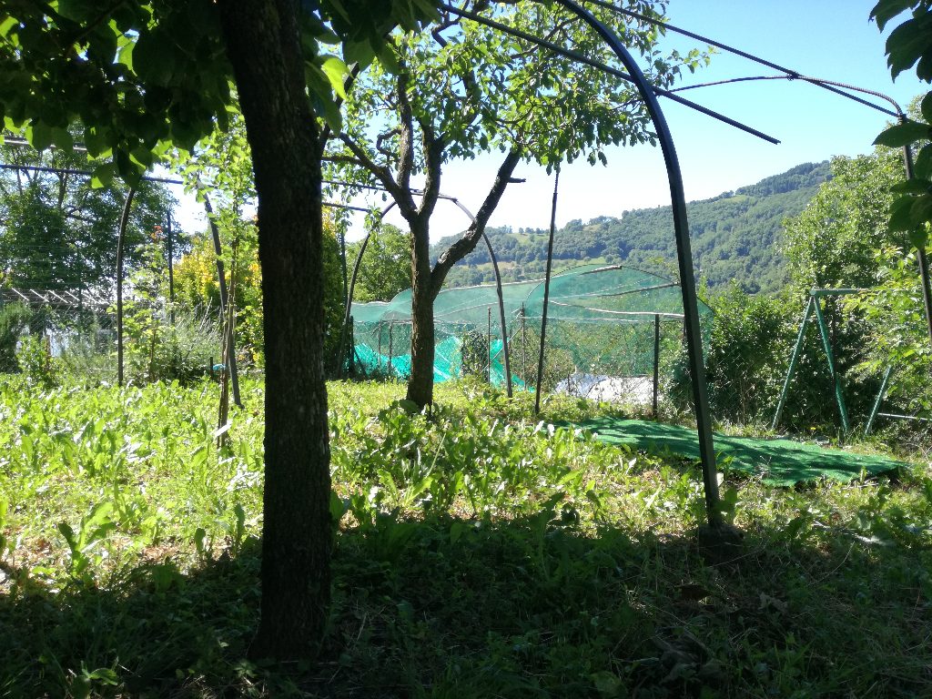 Appartamento in vendita a Val Brembilla