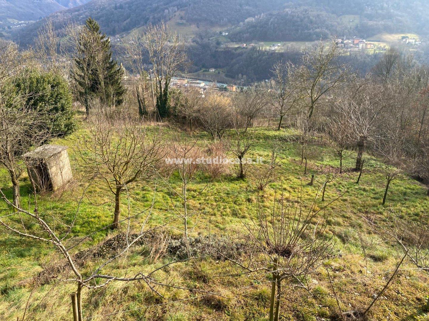 Casa Unifamiliare in vendita a Zogno