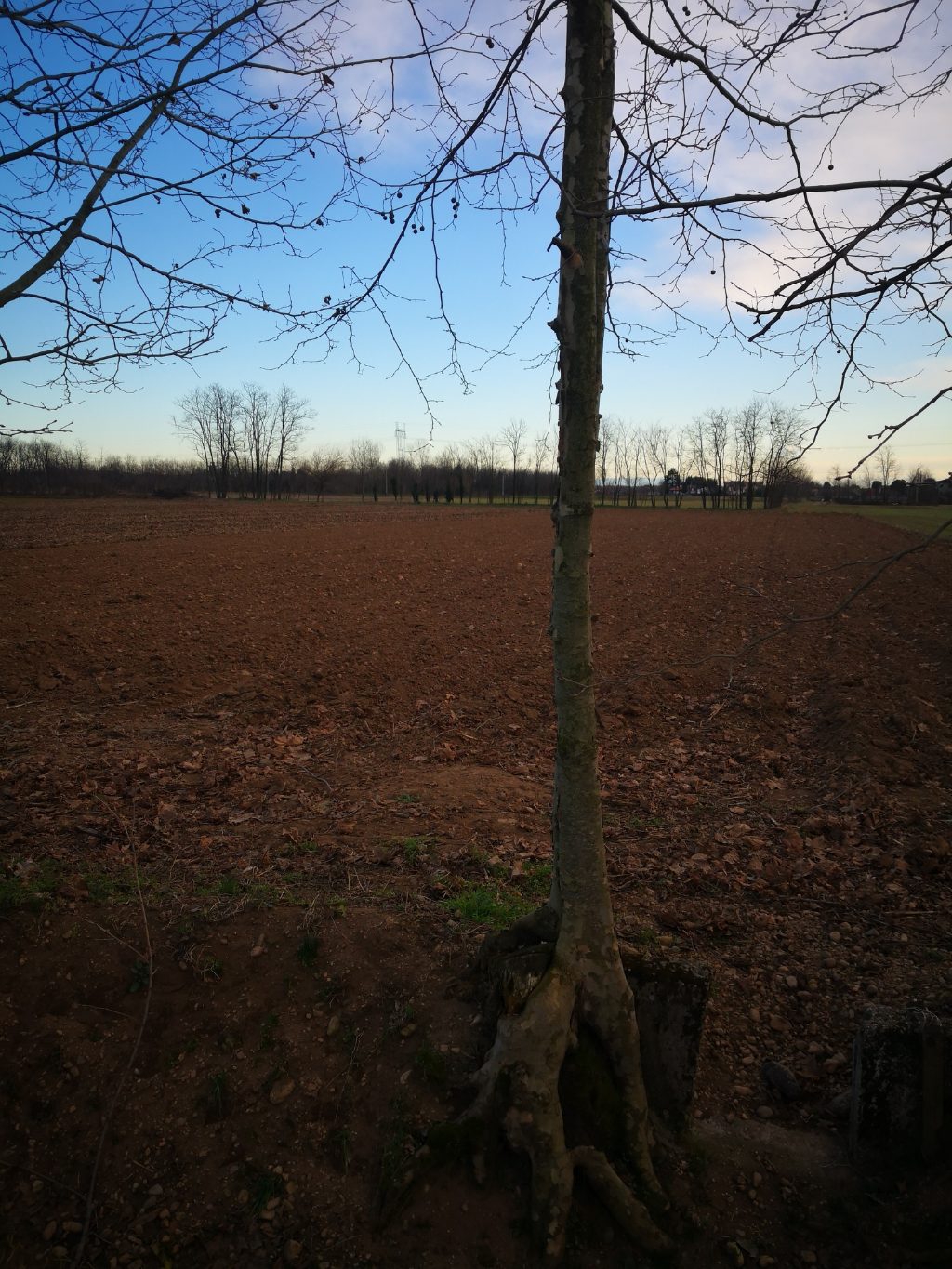 Terreno Agricolo in vendita a Inveruno