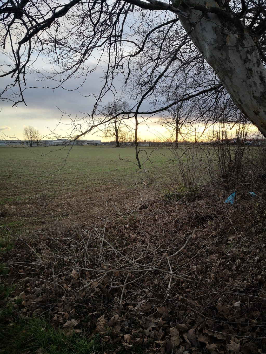 Terreno Agricolo in vendita a Inveruno