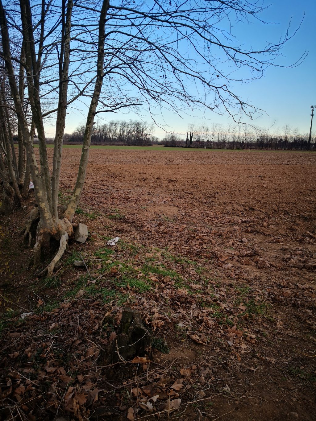 Terreno Agricolo in vendita a Inveruno