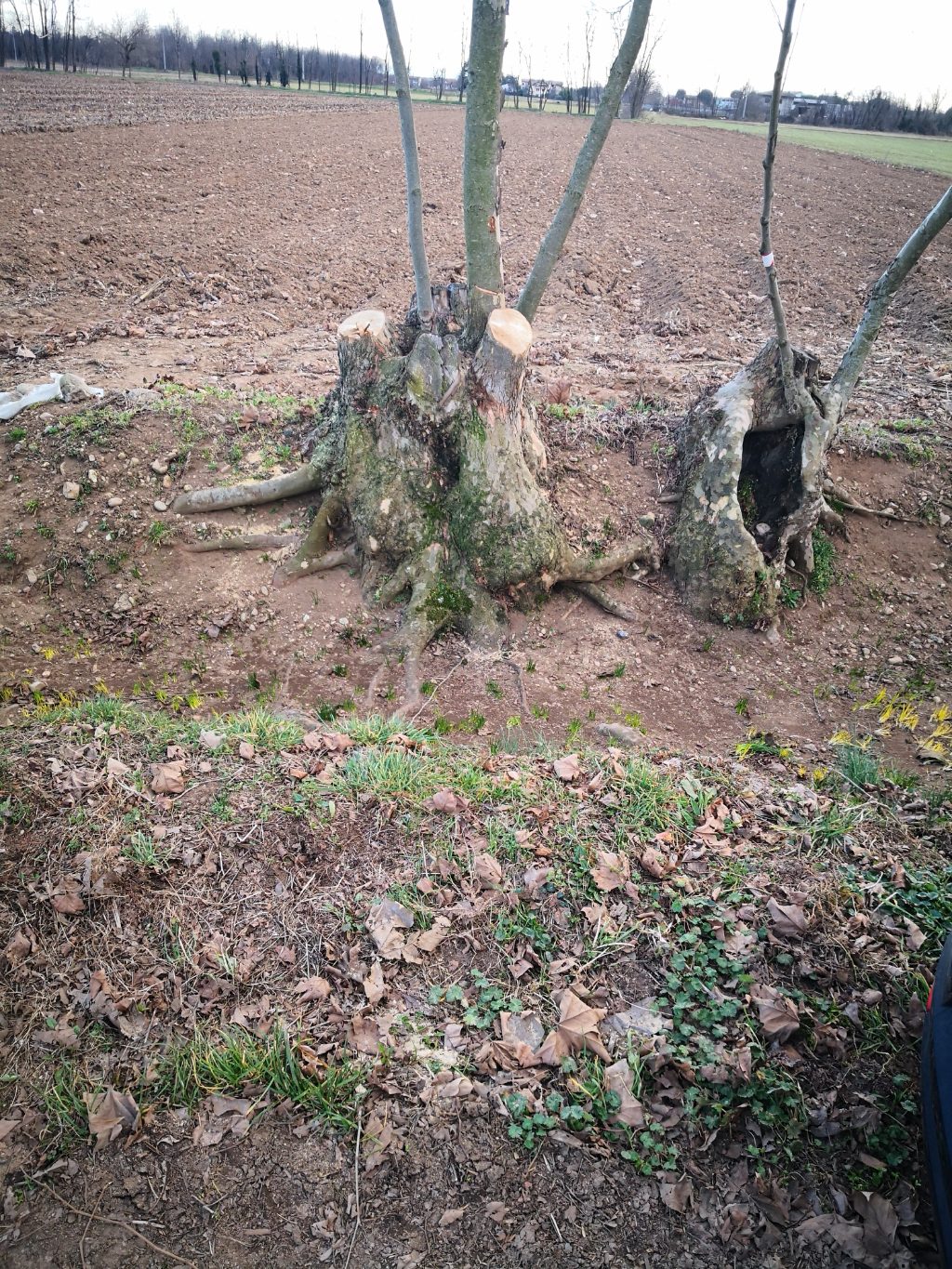 Terreno Agricolo in vendita a Inveruno