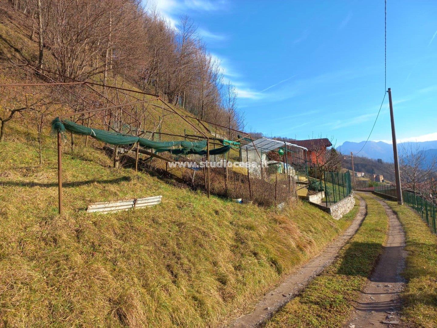 Terreno Residenziale in vendita a Gorno