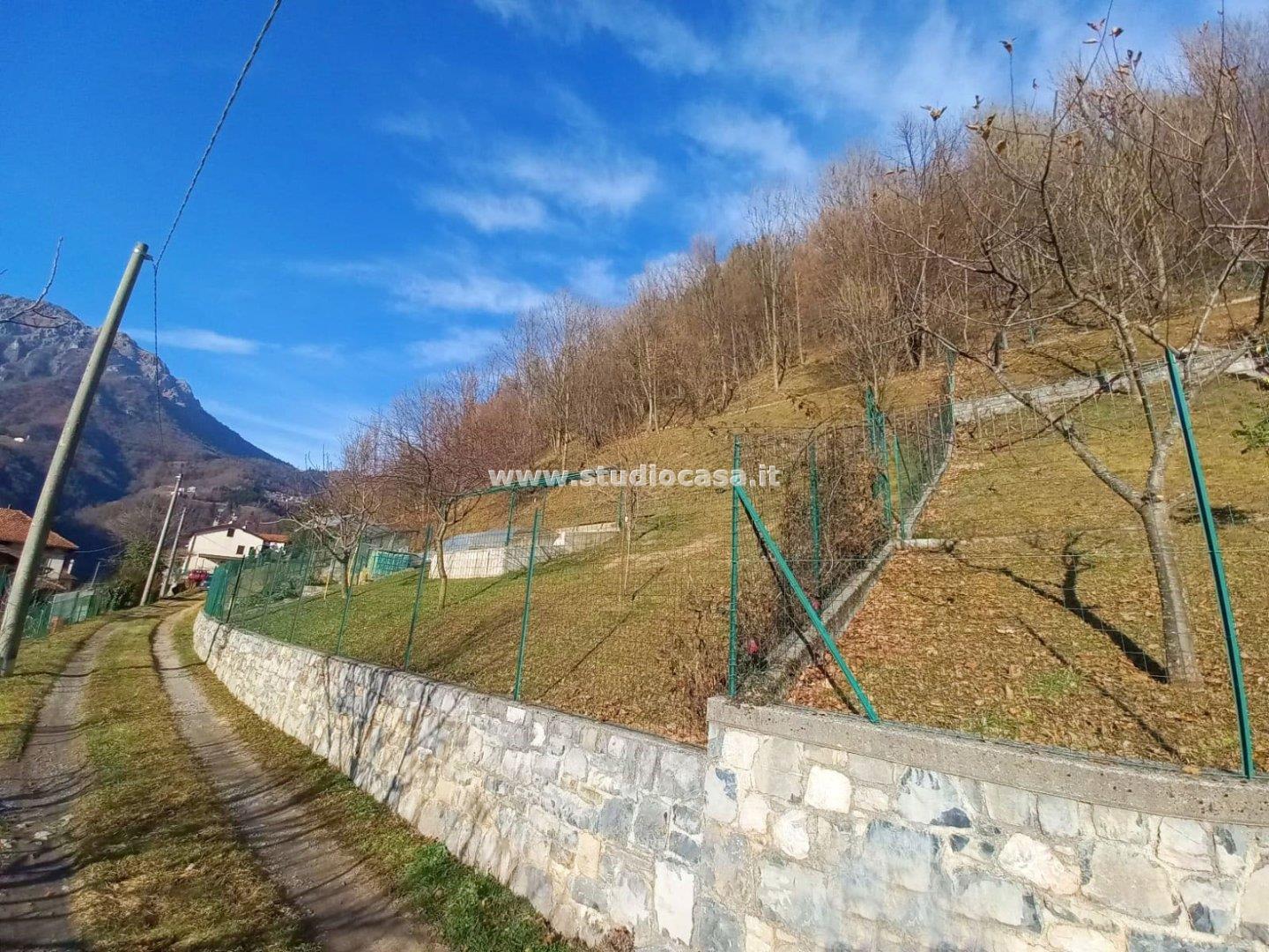 Terreno Residenziale in vendita a Gorno
