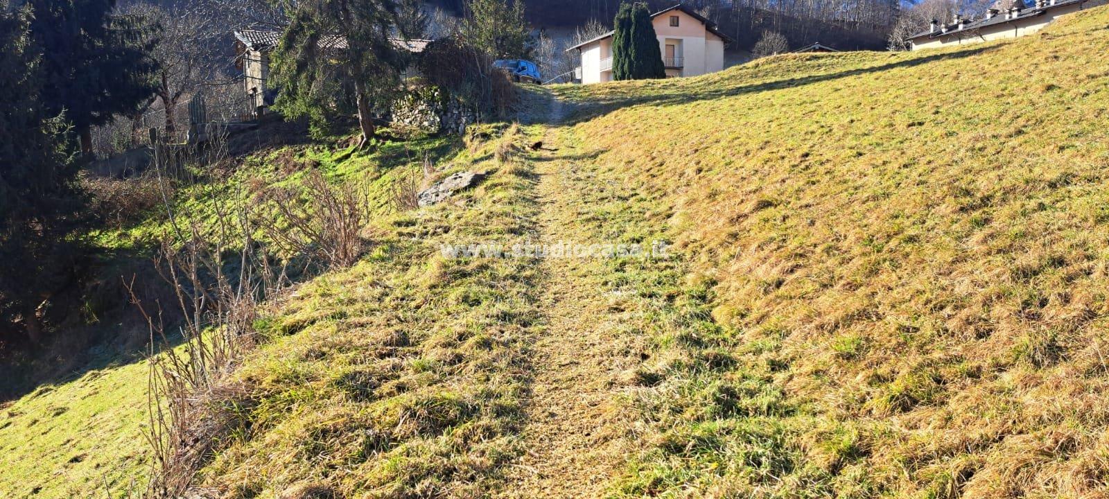 Terreno Agricolo in vendita a Ardesio