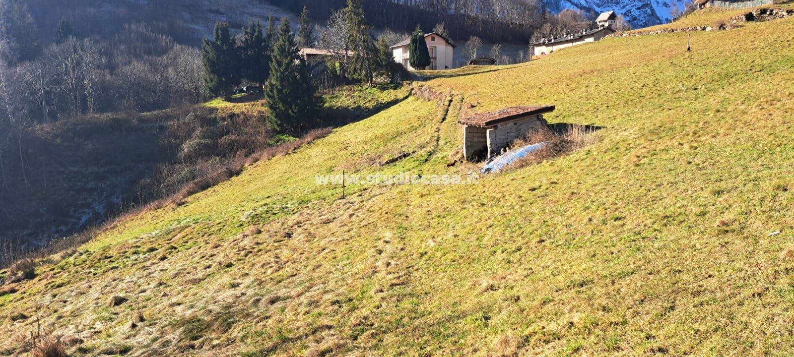 Terreno Agricolo in vendita a Ardesio