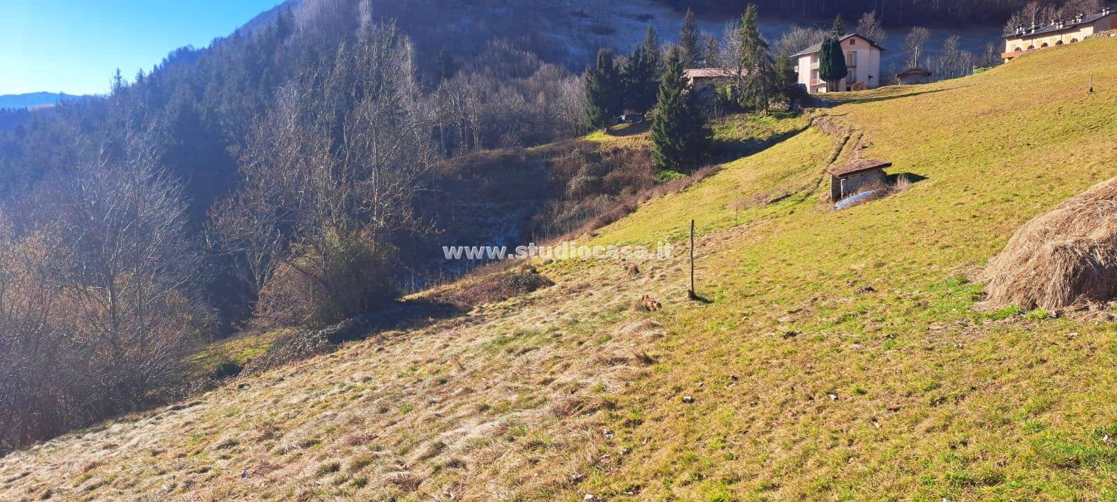 Terreno Agricolo in vendita a Ardesio