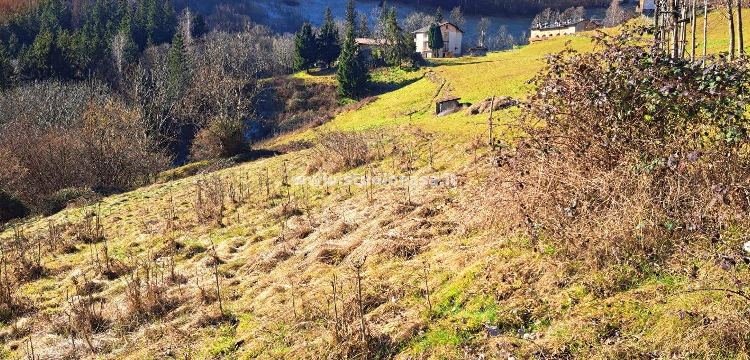 Terreno Agricolo in vendita a Ardesio