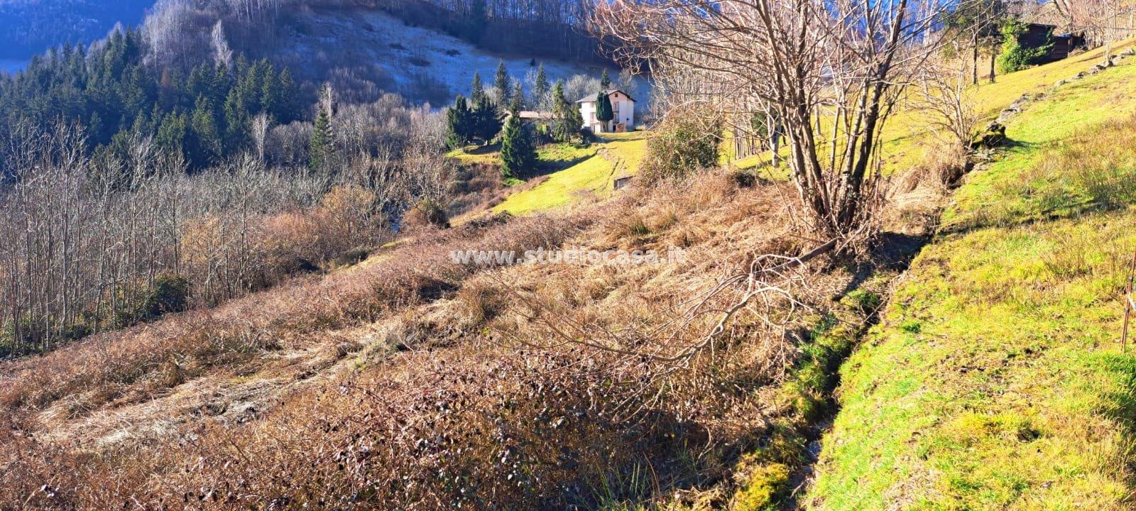 Terreno Agricolo in vendita a Ardesio