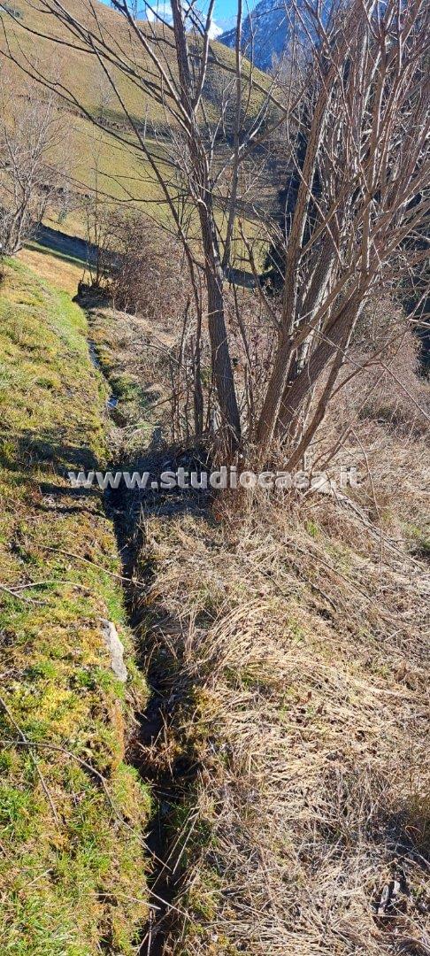 Terreno Agricolo in vendita a Ardesio