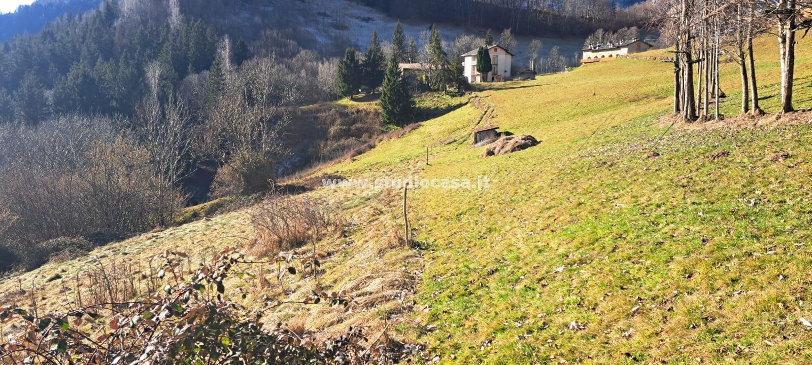 Terreno Agricolo in vendita a Ardesio