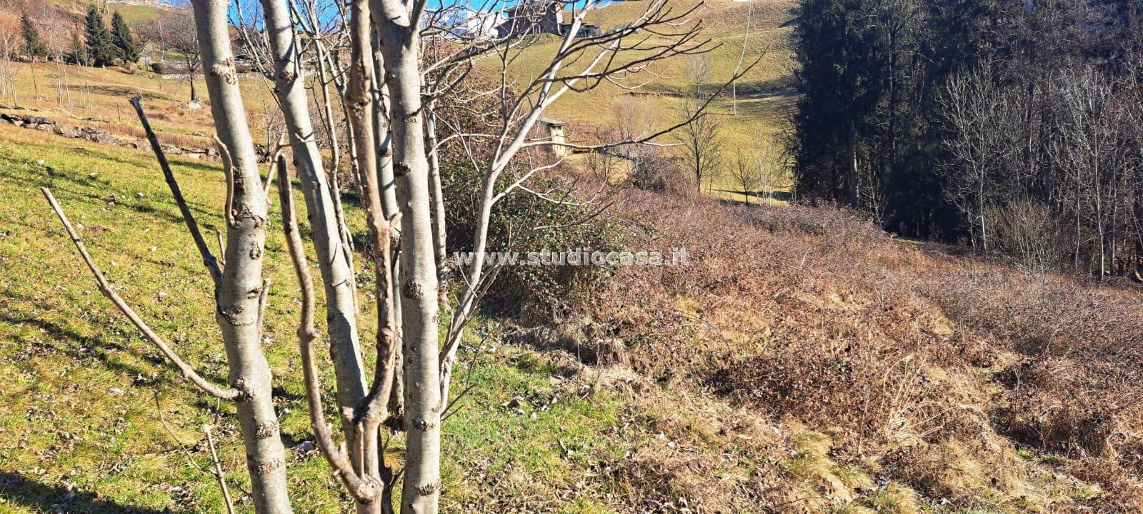 Terreno Agricolo in vendita a Ardesio