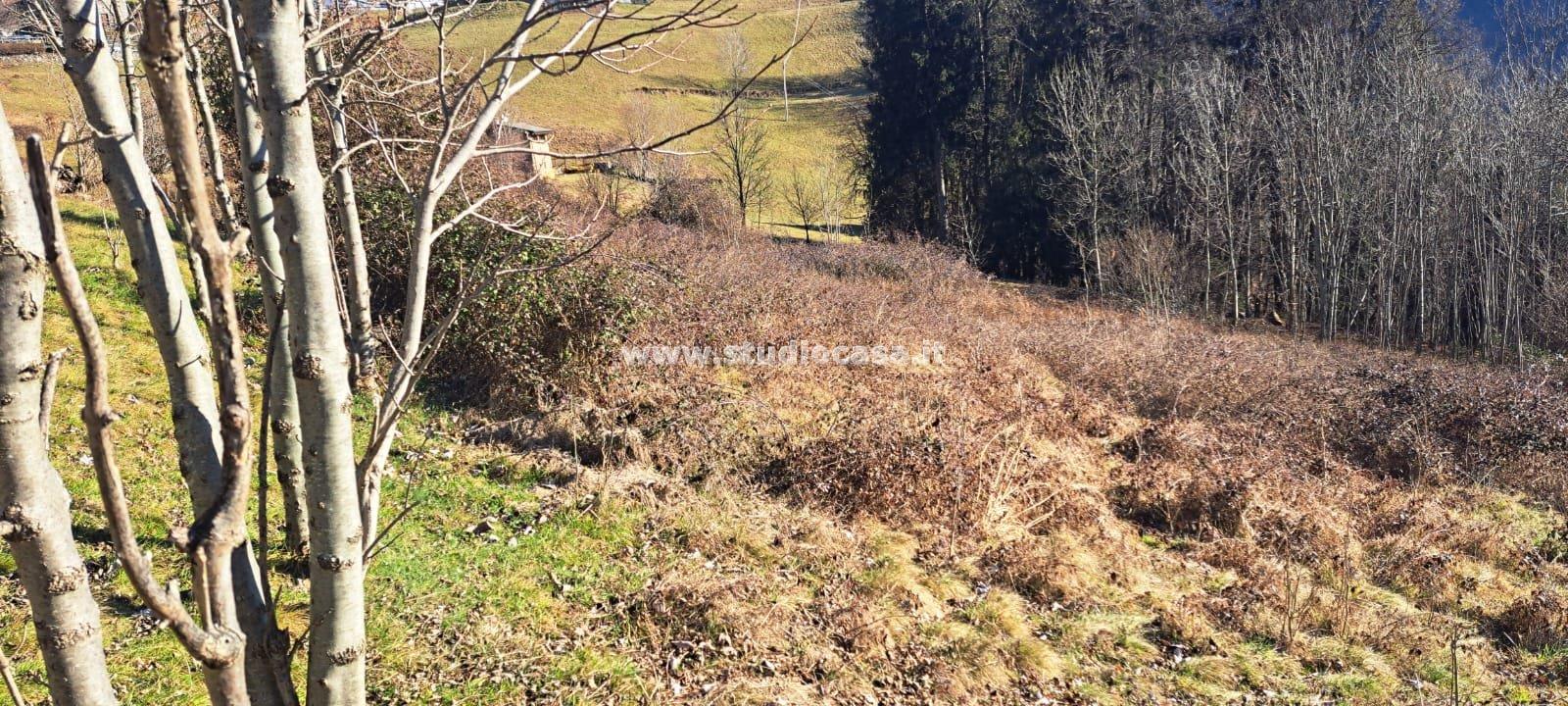 Terreno Agricolo in vendita a Ardesio