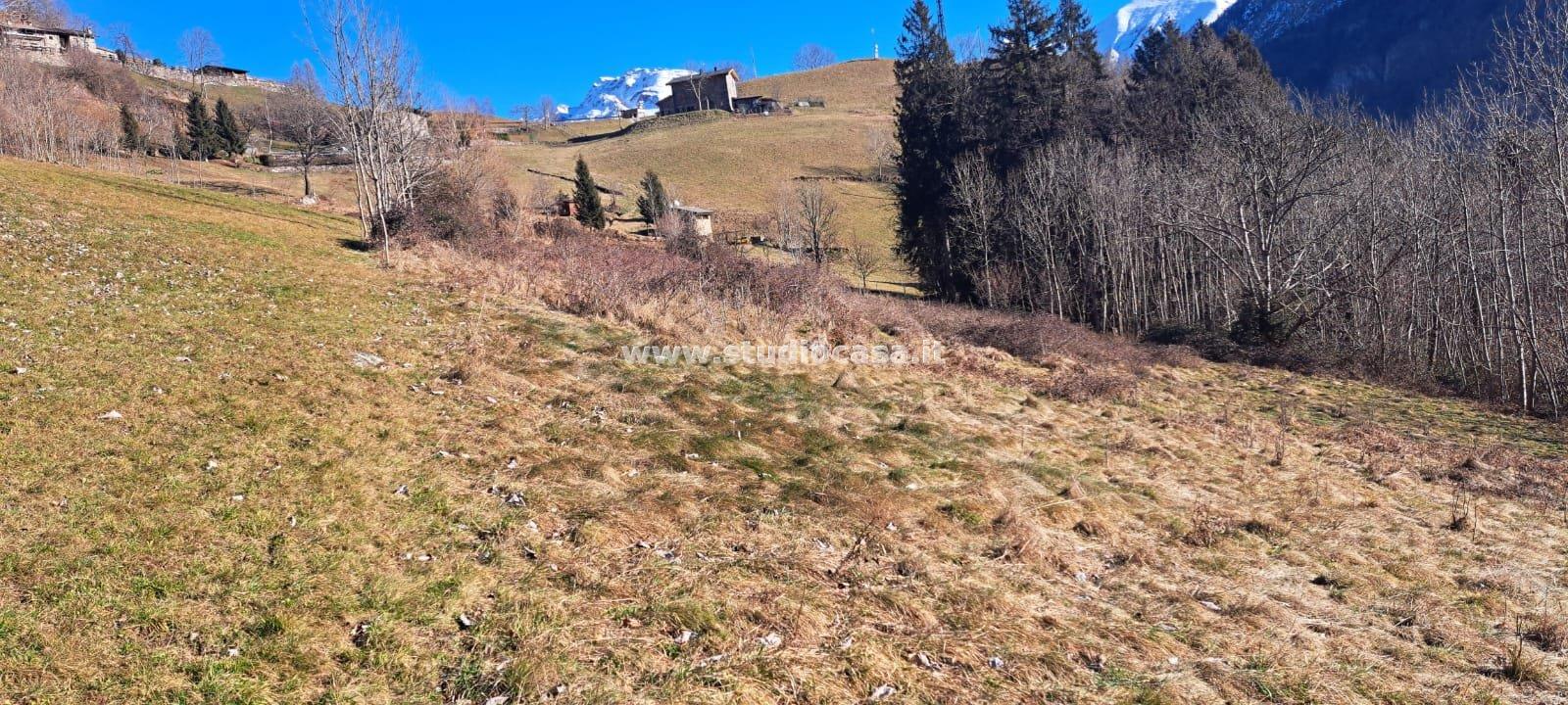 Terreno Agricolo in vendita a Ardesio